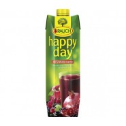 СОК RAUH HAPPY DAY МУЛТИВИТАМИН 1Л.